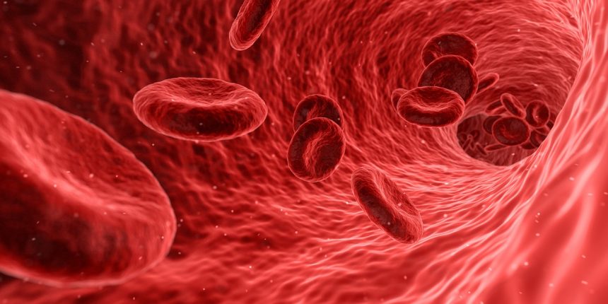blood-1813410_1280Imagen-de-mohamed-Hassan-en-Pixabay-860x430-1.jpg