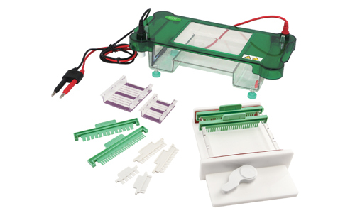 electroforesis2.jpg