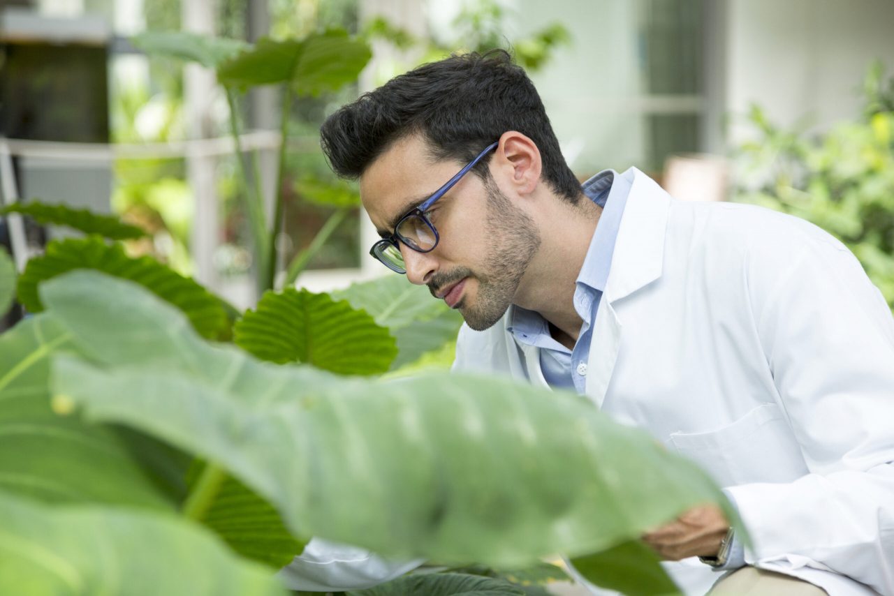 biologist-checking-plants-in-a-greenhouse-2022-07-21-12-43-51-utc-scaled-1280x854.jpg
